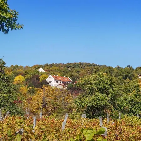 Holiday home Stunning In Balatonzolos W/ Sauna, Wifi And 6 Bedrooms