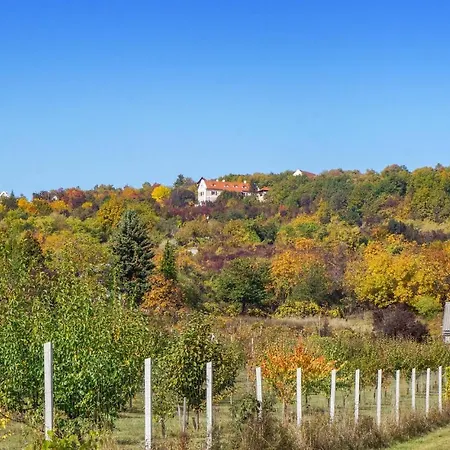 Stunning In Balatonzolos W/ Sauna, Wifi And 6 Bedrooms * Balatonszolos